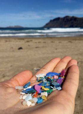 Marine pollution with plastics