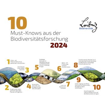 Cover des neuen Berichts des Leibniz-Forschungsnetzwerks Biodiversität „10 Must-Knows aus der Biodiversitätsforschung“ für 2024