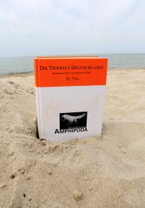 Cover Amphipoden-Monographie
