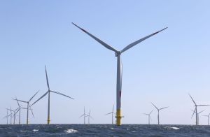 Offshore-Windparks sind eine wichtige Nutzung der Ostsee - grade in Zeiten des Klimawandels. Wie ein Interessenausgleich zwischen Nutzung und Schutz der Meeresumwelt in der Ostsee gelingen kann, ist auch Thema auf der BSC2022.