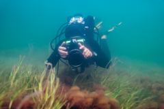 Matthias Kreuzburg in a seagrass meadow